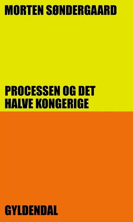 Processen og det halve kongerige af Morten Søndergaard