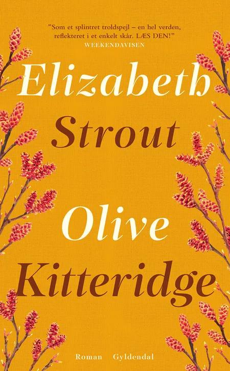 Olive Kitteridge af Elizabeth Strout