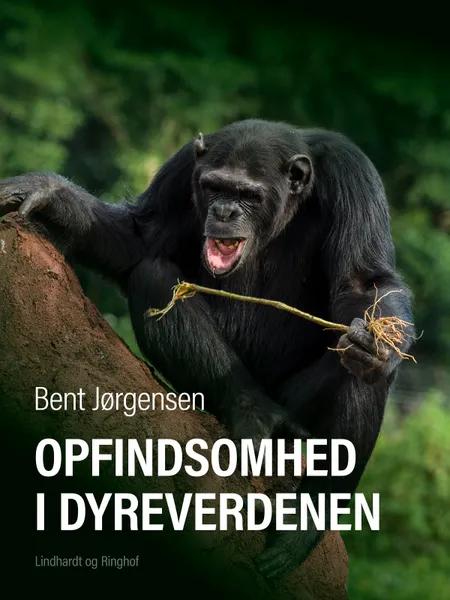 Opfindsomhed i dyreverdenen af Bent Jørgensen