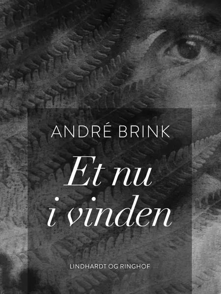 Et nu i vinden af André Brink