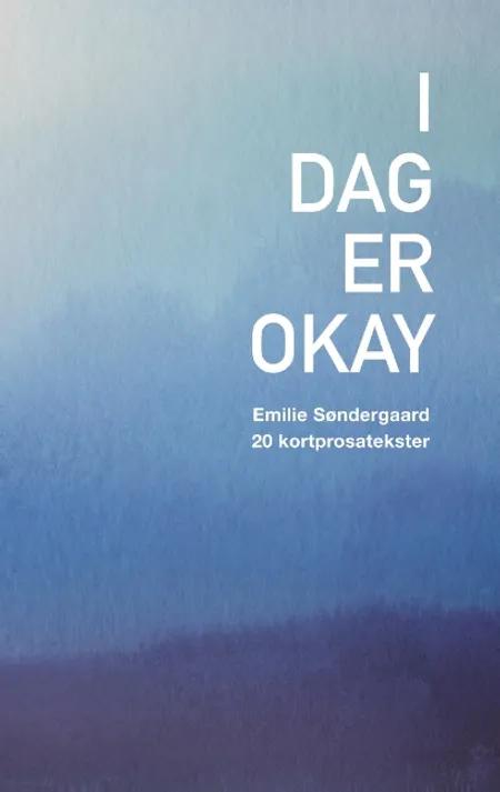I dag er okay af Emilie Søndergaard
