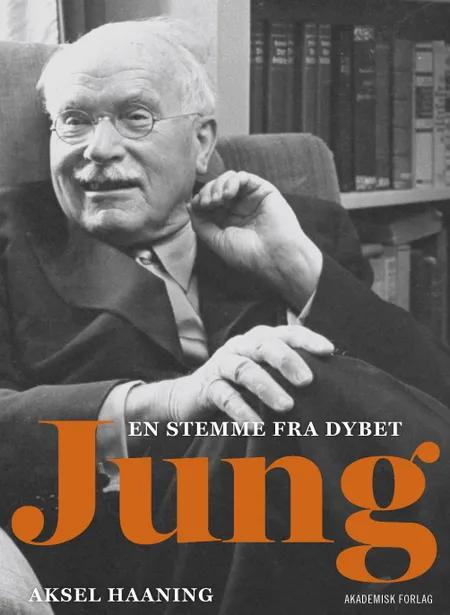 Jung af Aksel Haaning