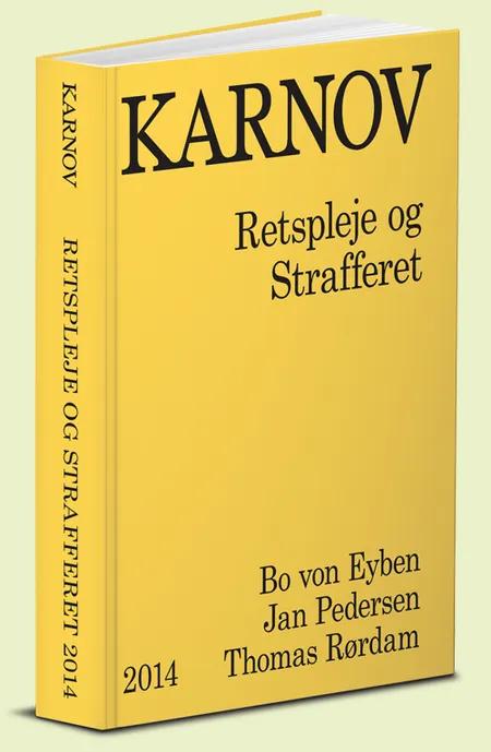 Karnov retspleje og strafferet af Jan Pedersen