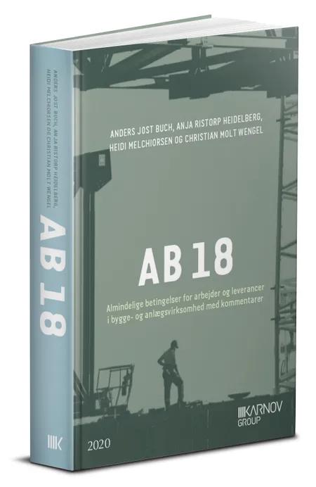 AB 18 af Anders Jost Buch