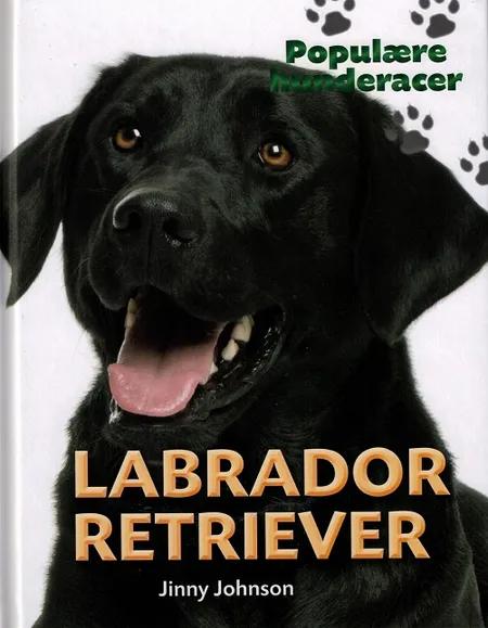 Labrador retriever af Jinny Johnson