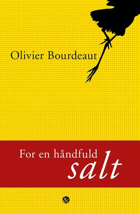 For en håndfuld salt af Olivier Bourdeaut