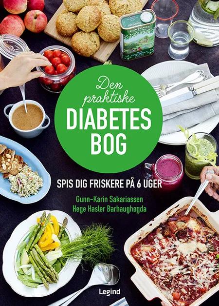 Den praktiske diabetesbog af Gunn-Karin Sakariassen