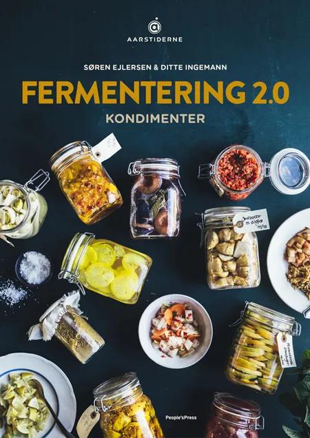Fermentering 2.0 af Søren Ejlersen