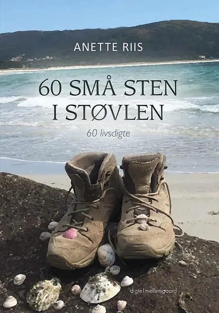 60 små sten i støvlen af Anette Riis