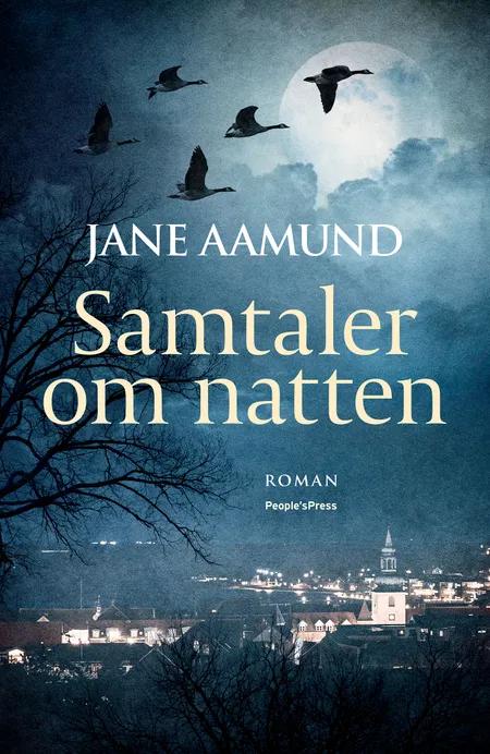 Samtaler om natten af Jane Aamund