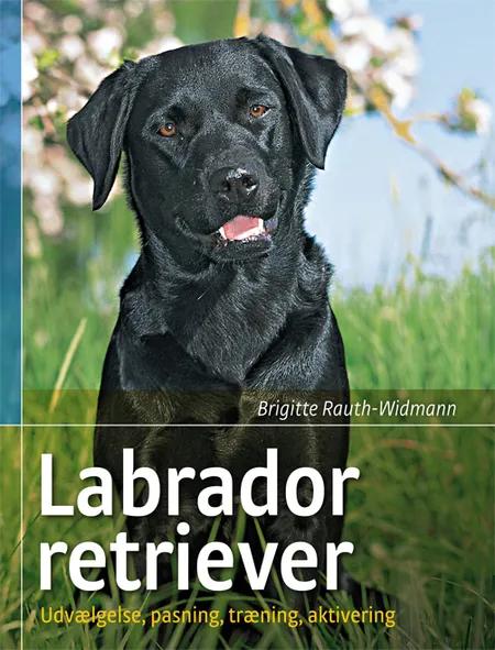Labrador retriever af Brigitte Rauth-Widmann