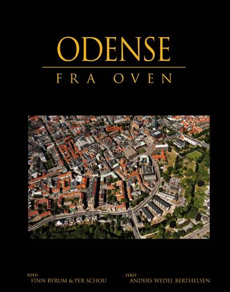 Odense fra oven af Anders W. Berthelsen