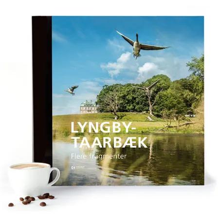 Lyngby-Taarbæk  Flere fragmenter af Morten Ehrhorn