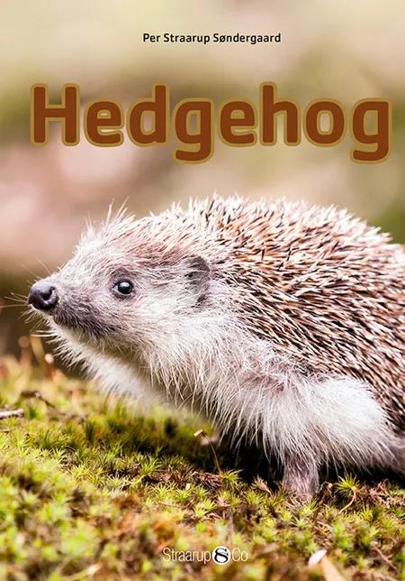 Hedgehog af Per Straarup Søndergaard