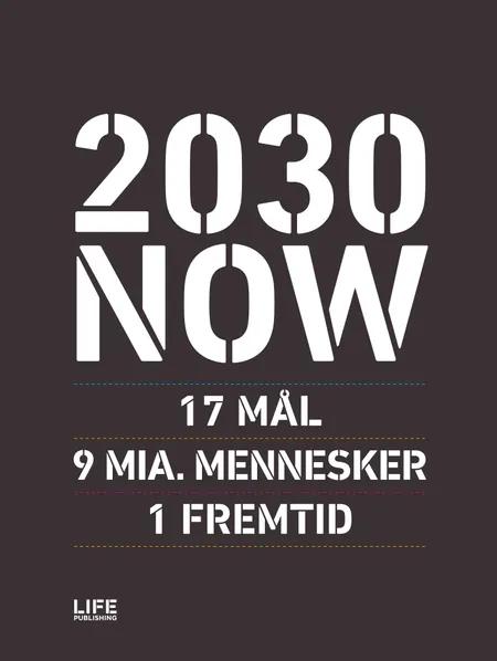 2030 NOW (DK) af Susanne Sayers