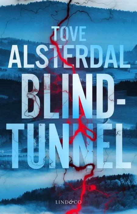 Blindtunnel af Tove Alsterdal