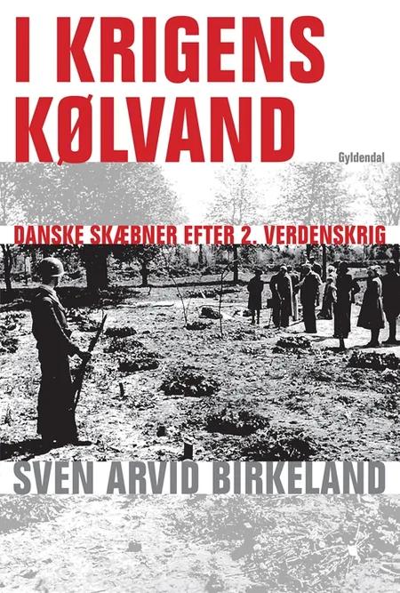 I krigens kølvand af Sven Arvid Birkeland