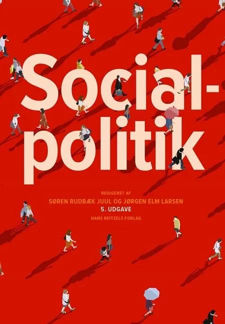 Socialpolitik af Finn Diderichsen