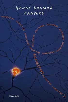 Hjernestyrt af Hanne Dagmar Raaberg