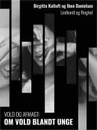 Vold og afmagt: Om vold blandt unge af Iben Danielsen og Birgitte Kaltoft