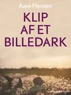 Klip af et billedark af Aase Hansen