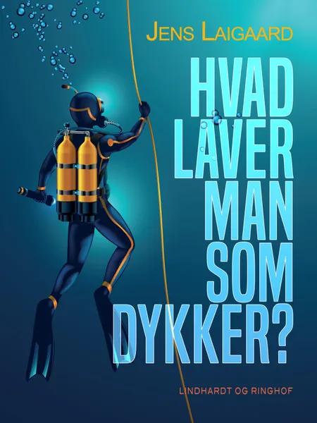 Hvad laver man som dykker? af Jens Laigaard
