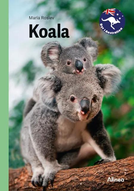 Koala, Grøn Fagklub af Maria Roslev