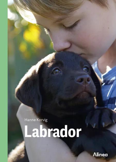 Labrador, Grøn Fagklub af Hanne Korvig