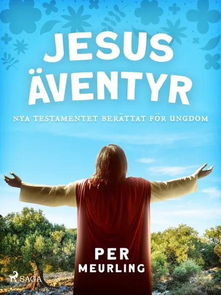 Jesus äventyr : Nya Testamentet berättat för ungdom af Per Meurling