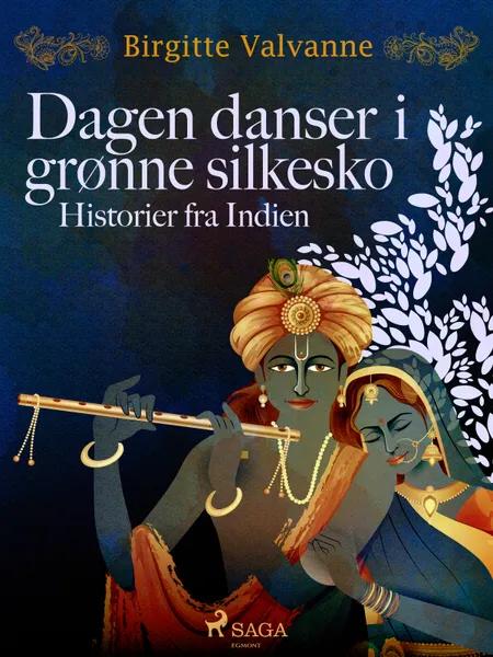 Dagen danser i grønne silkesko. Historier fra Indien af Birgitte Valvanne