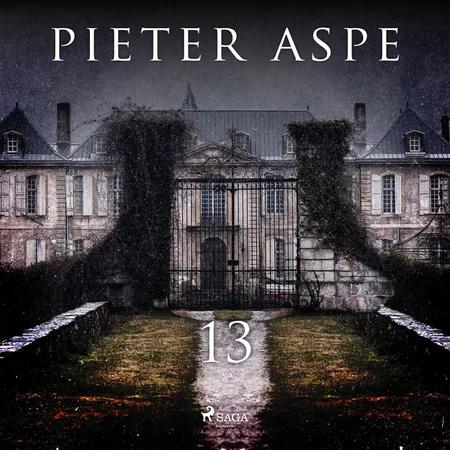 13 af Pieter Aspe