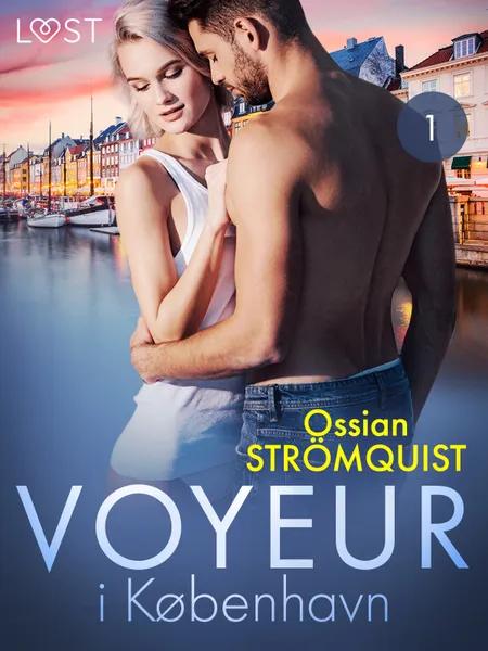 Voyeur i København 1 - erotisk novelle af Ossian Strömquist