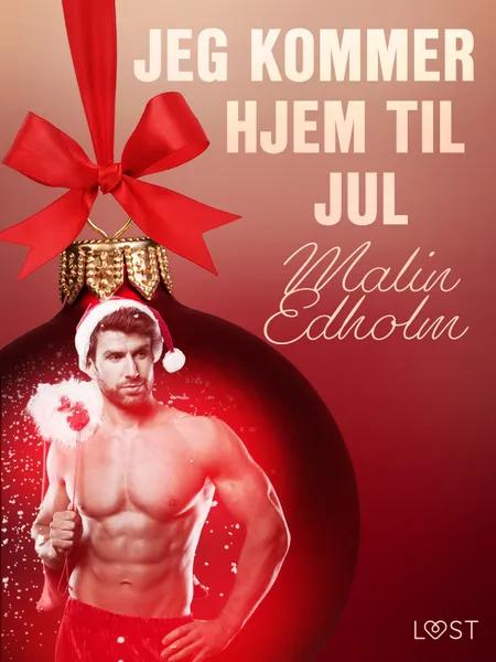 21. december: Jeg kommer hjem til jul - en erotisk julekalender af Malin Edholm