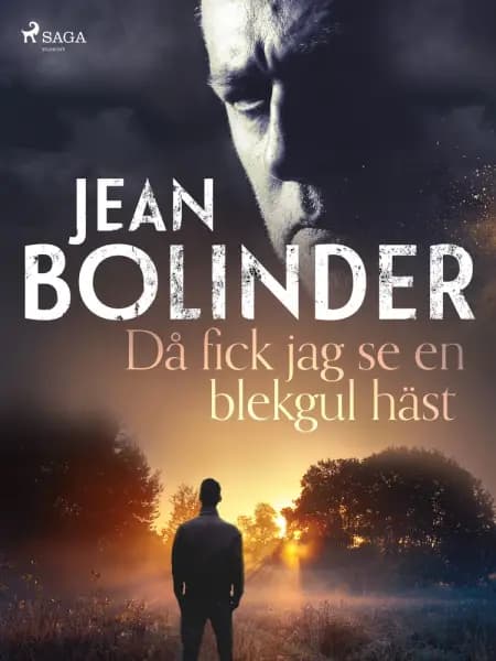 Då fick jag se en blekgul häst af Jean Bolinder
