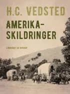 Amerika-skildringer af H.C. Vedsted