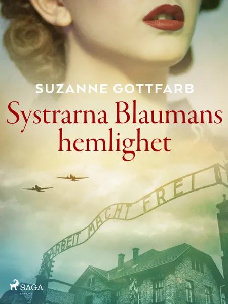 Systrarna Blaumans hemlighet af Suzanne Gottfarb