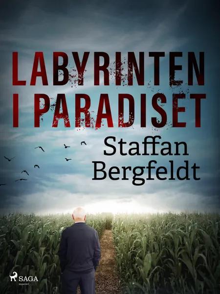 Labyrinten i paradiset af Staffan Bergfeldt