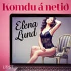 Komdu á netið- Erótísk smásaga af Elena Lund