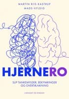 HjerneRo af Martin Riis Kastrup, Mads Vangsgaard Hyldig og Mindcamp