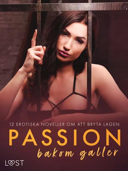Passion bakom galler: 12 erotiska noveller om att bryta lagen af Camille Bech