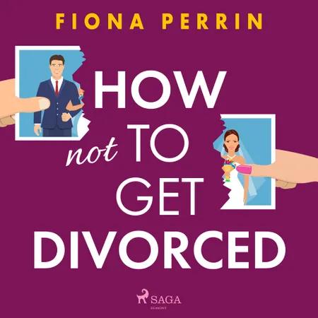 How Not to Get Divorced af Fiona Perrin