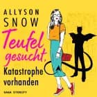 Teufel gesucht, Katastrophe vorhanden af Allyson Snow