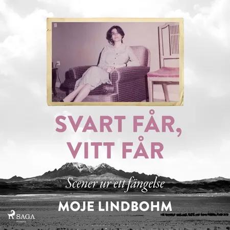 Svart får, vitt får : Scener ur ett fängelse af Moje Lindbohm