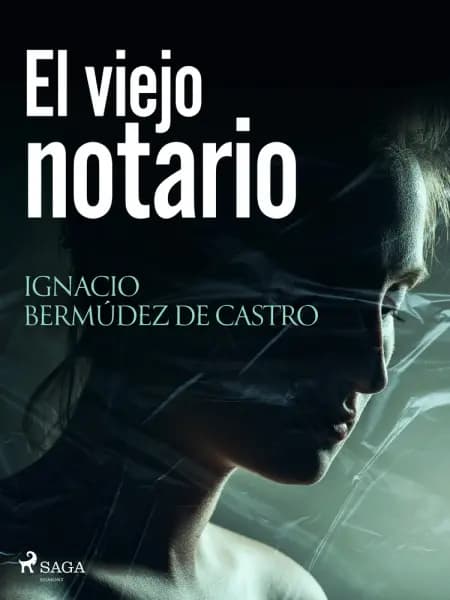 El viejo notario af Ignacio Bermúdez de Castro