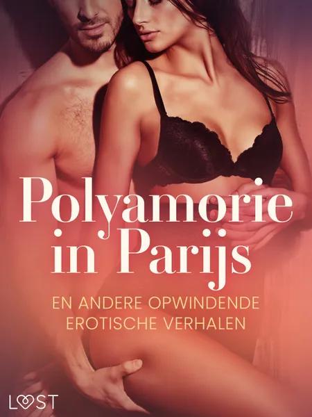 Polyamorie in Parijs en andere opwindende erotische verhalen af Camille Bech
