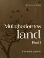 Mulighedernes land. Bind 1 af Vibeke Grønfeldt