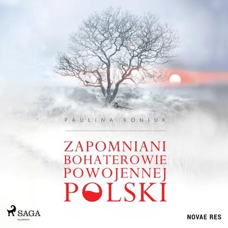 Zapomniani bohaterowie powojennej Polski af Paulina Koniuk