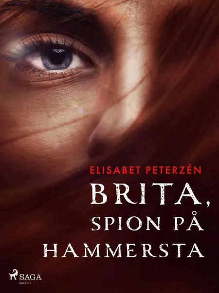 Brita, spion på Hammersta af Elisabet Peterzén