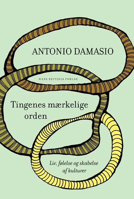 Tingenes mærkelige orden af Antonio Damasio