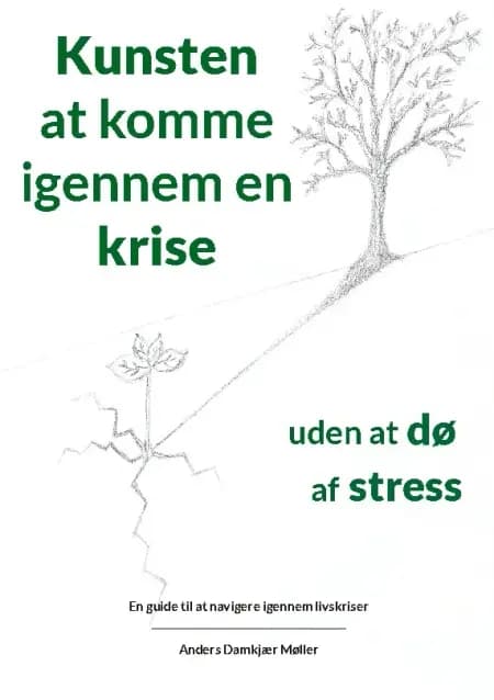 Kunsten at komme igennem en krise uden at dø af stress af Anders Damkjær Møller